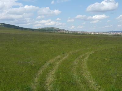 Прикрепленное изображение: 20220501_152549_1.jpg